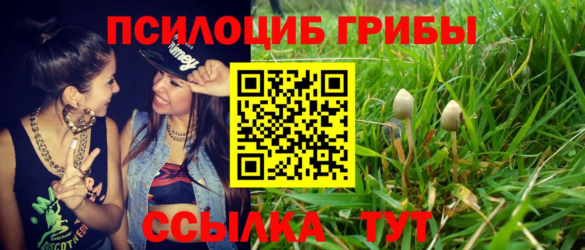 Псилоцибиновые грибы Cubensis  Вход с VPN  Котовск 